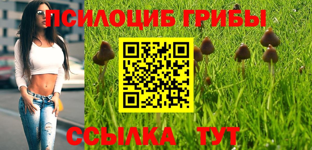 Дальнегорск  Псилоцибиновые грибы Cubensis  закладка  Псилоцибиновые грибы ЛСД  Вход с VPN 