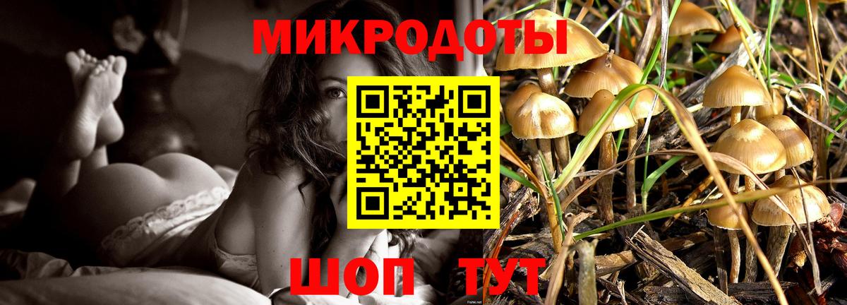 Псилоцибиновые грибы прущие грибы Дальнегорск
